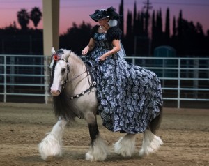 Taskin ridden by Samantha Vansickle in a breed demo.