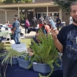 Shaun Presley, Green Futures President, and member Breanna sell plants and give out Otter Pops